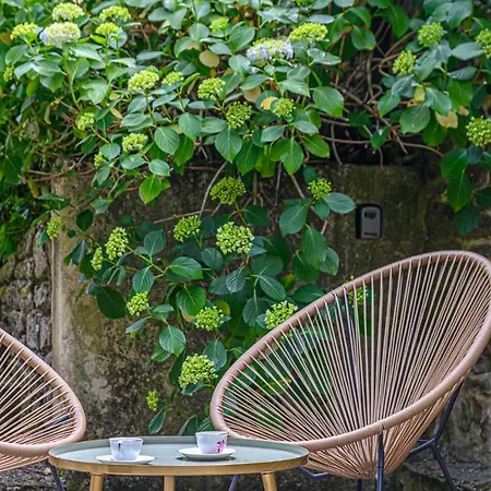 Ty Chaumiere - Charmante Petite Chaumiere En Pierre Avec Jardin * Theix